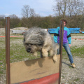 100_0089.jpg