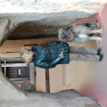 DSC_0020.jpg