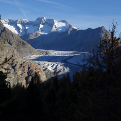 Aletsch 2014