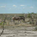 DSC_0077.jpg