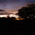IMGP2879.jpg
