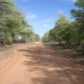 IMGP2922.jpg