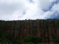 IMGP2953
