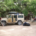 IMGP3005.jpg