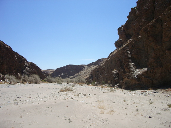 IMGP3013