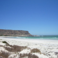 IMGP3021.jpg