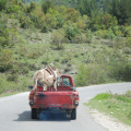 DSC_0005.JPG