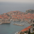 DSC_0302.jpg
