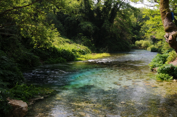 DSC_7842.JPG