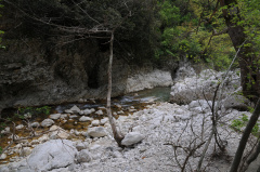 DSC_7849.JPG