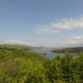 DSC_7898.jpg