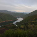 DSC_7932.jpg