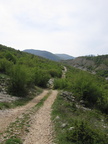 IMG_0151.JPG