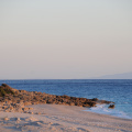 DSC_8668.JPG