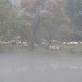 DSC_8721.JPG