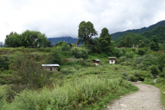 DSC01721.JPG
