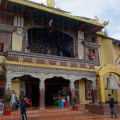 DSC01910.JPG