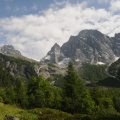 DSC_2942.JPG