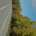 DSC_0052.jpg