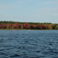 DSC_0146.jpg