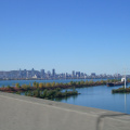 IMGP2782.jpg