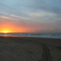 IMG_6863.jpg