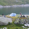 DSC_7637.JPG