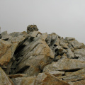 IMG_4414.jpg