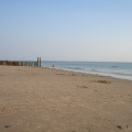 IMGP2215.jpg