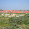 IMGP2219.jpg