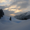 DSC_3384.jpg