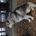 DSC_3391.jpg