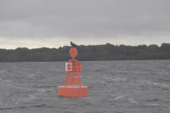 DSC_3191.JPG