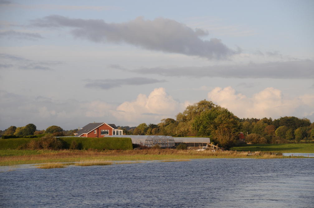 DSC_3250.JPG