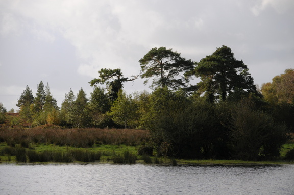 DSC_3263.JPG