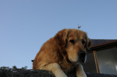 DSC_3272.JPG