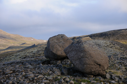 DSC_4318.JPG