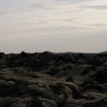 DSC_4446.jpg