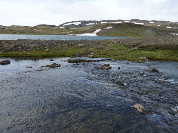 P1000163.JPG