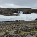 P1000175.jpg