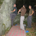IMG 3194 b1