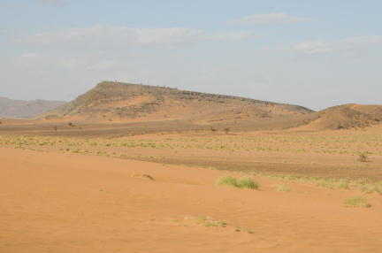 DSC_3551.JPG