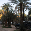 DSC_3563.jpg