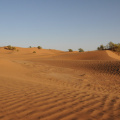DSC_3567.jpg