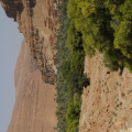 DSC_3586.jpg