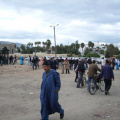 IMGP3736.jpg