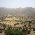 IMGP3781.jpg