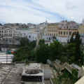 IMGP3818.jpg