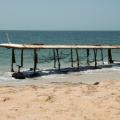 DSC_0014.jpg