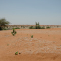 DSC_0023.jpg